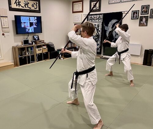 Classes 2 NIKK Experienced Karateka Kobudo